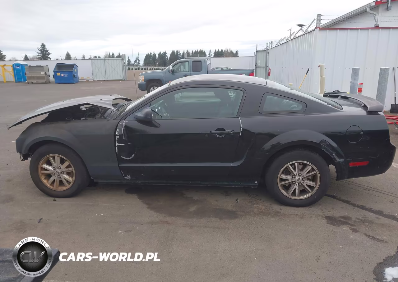 2006 Ford Mustang V6 VIN:1ZVFT80NX65263486 - 15