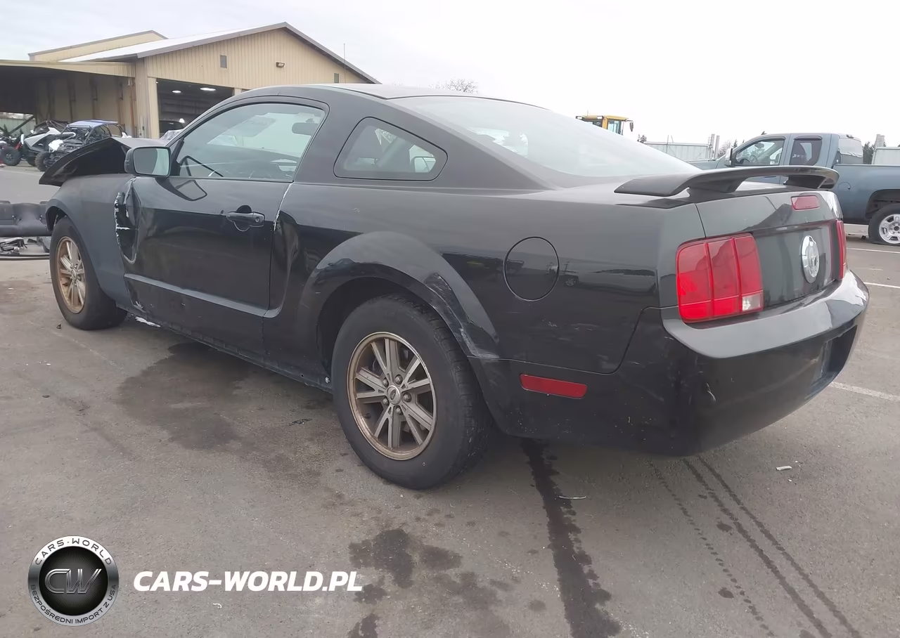 2006 Ford Mustang V6 VIN:1ZVFT80NX65263486 - 3