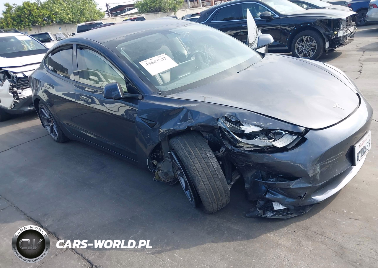 2021 Tesla Model 3 Long Range Dual Motor All-Wheel Drive