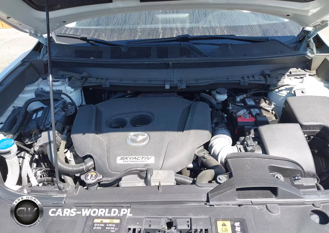 2019 Mazda Cx-9 Touring VIN:JM3TCACY8K0321001 - 10