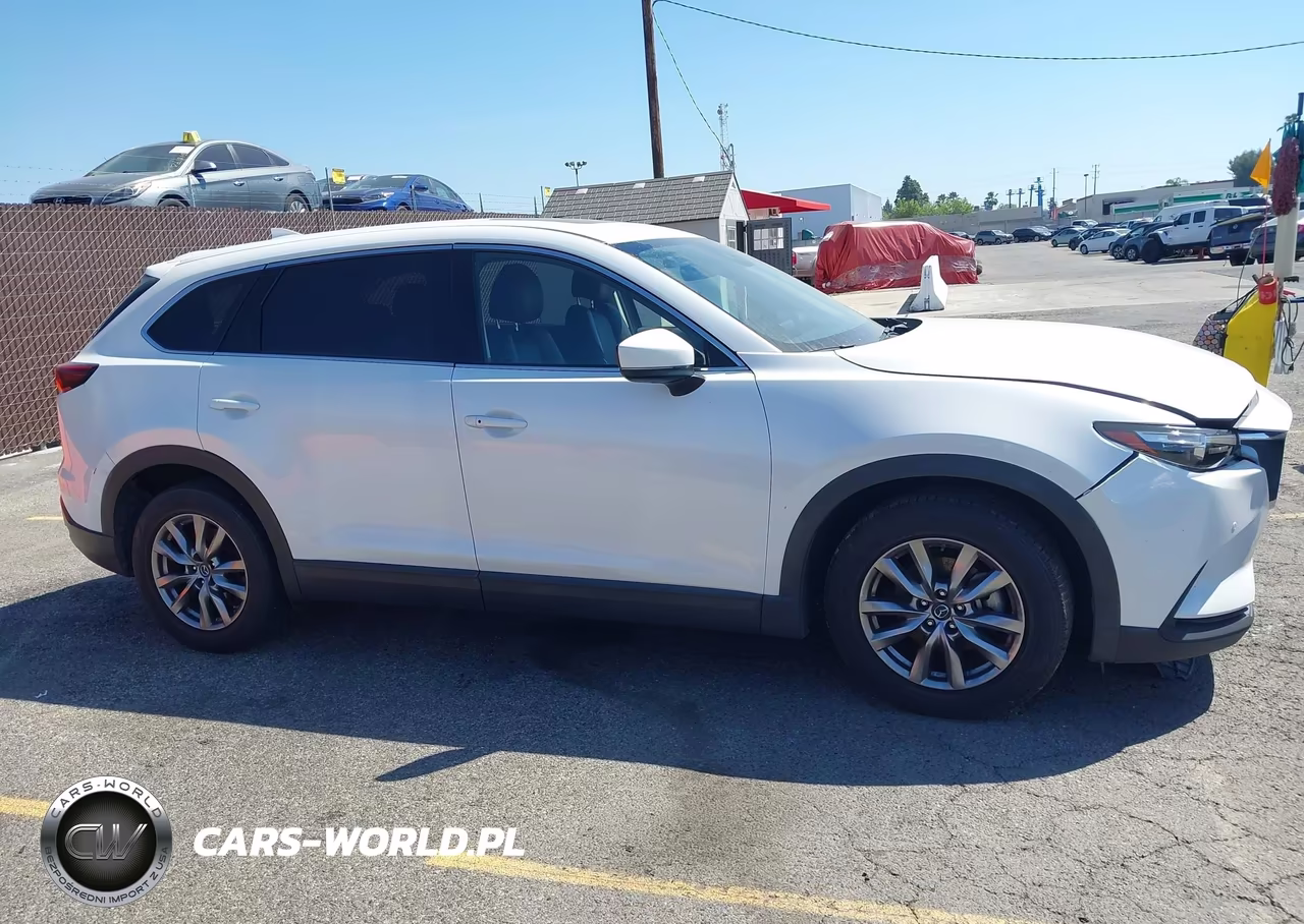 2019 Mazda Cx-9 Touring VIN:JM3TCACY8K0321001 - 13