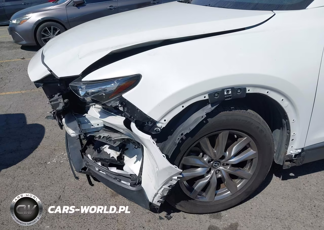 2019 Mazda Cx-9 Touring VIN:JM3TCACY8K0321001 - 6
