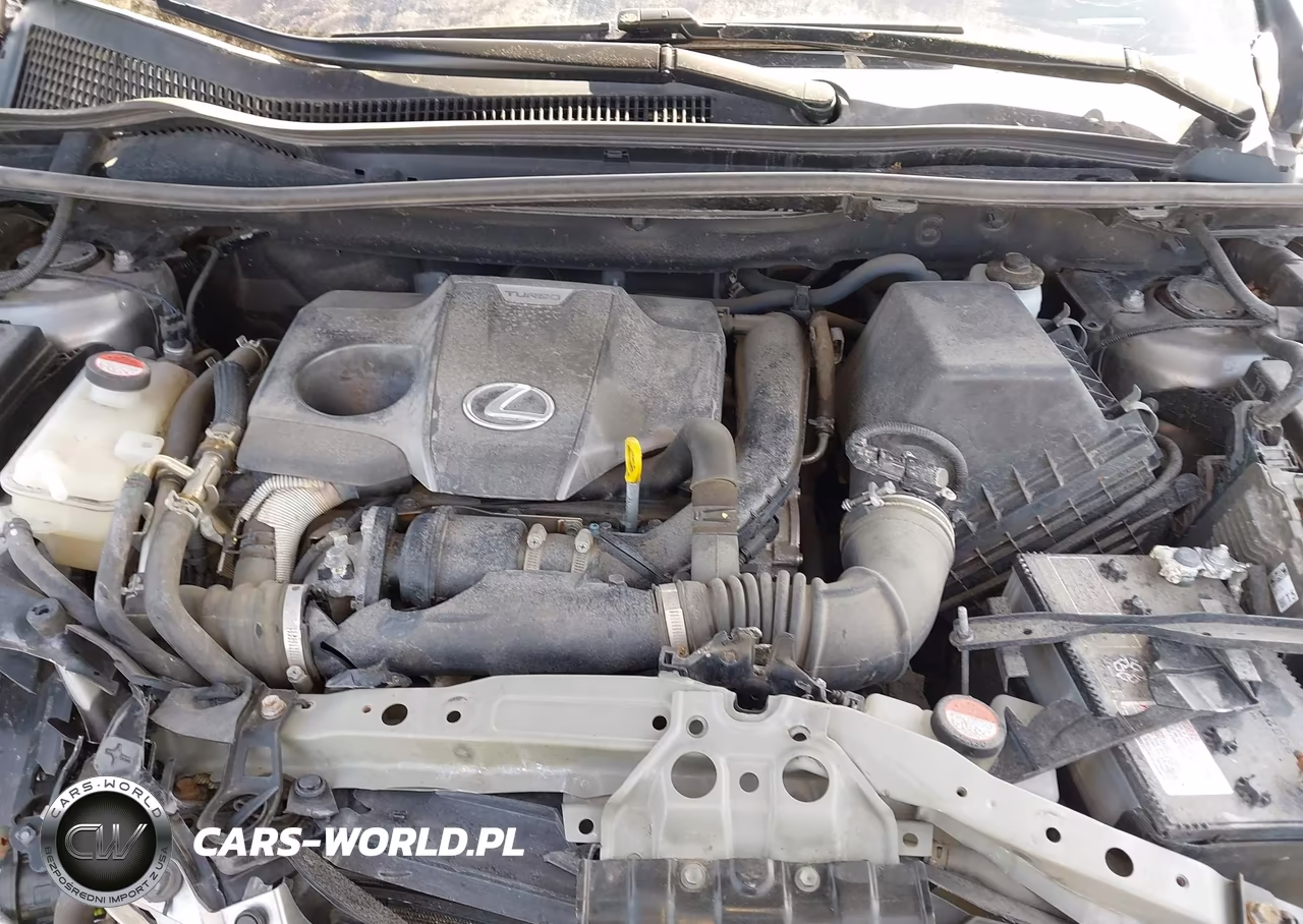 2016 Lexus Nx 200T VIN:JTJYARBZ6G2023178 - 10