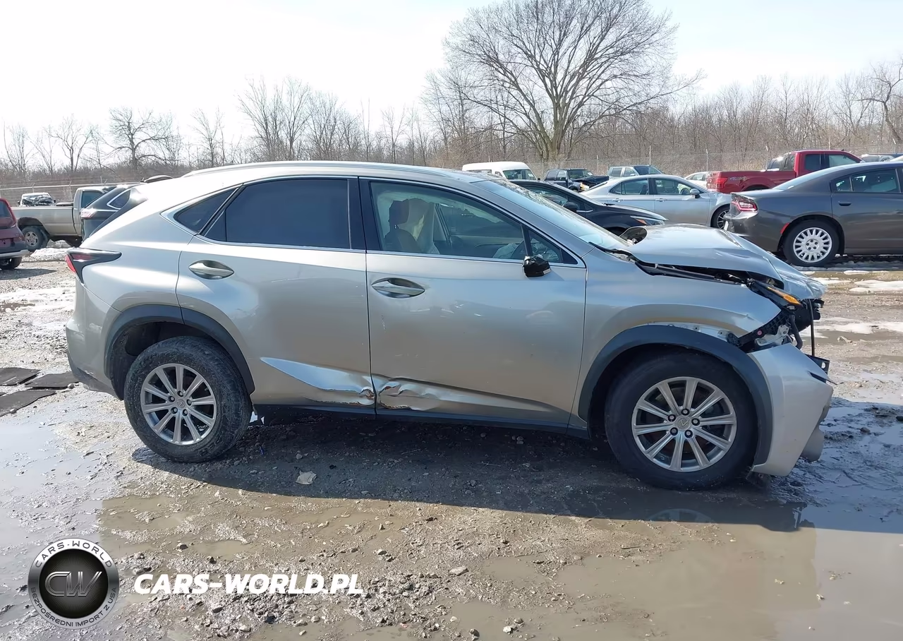 2016 Lexus Nx 200T VIN:JTJYARBZ6G2023178 - 13