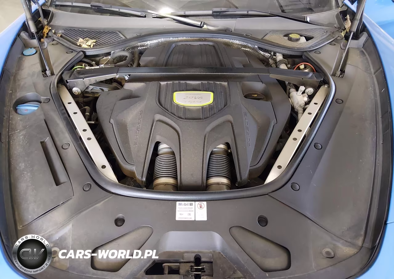 2020 Porsche Panamera E-Hybrid 4 VIN:WP0AE2A73LL132265 - 10