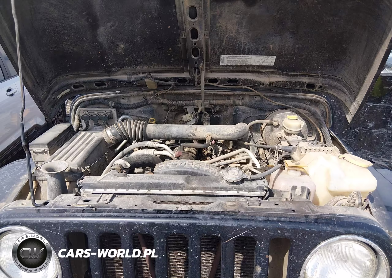 2004 Jeep Wrangler Sahara VIN:1J4FA59S04P703873 - 10