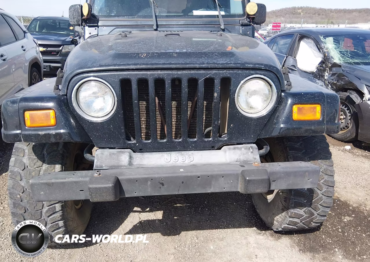 2004 Jeep Wrangler Sahara VIN:1J4FA59S04P703873 - 12