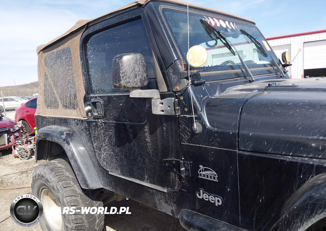 2004 Jeep Wrangler Sahara VIN:1J4FA59S04P703873 - 13