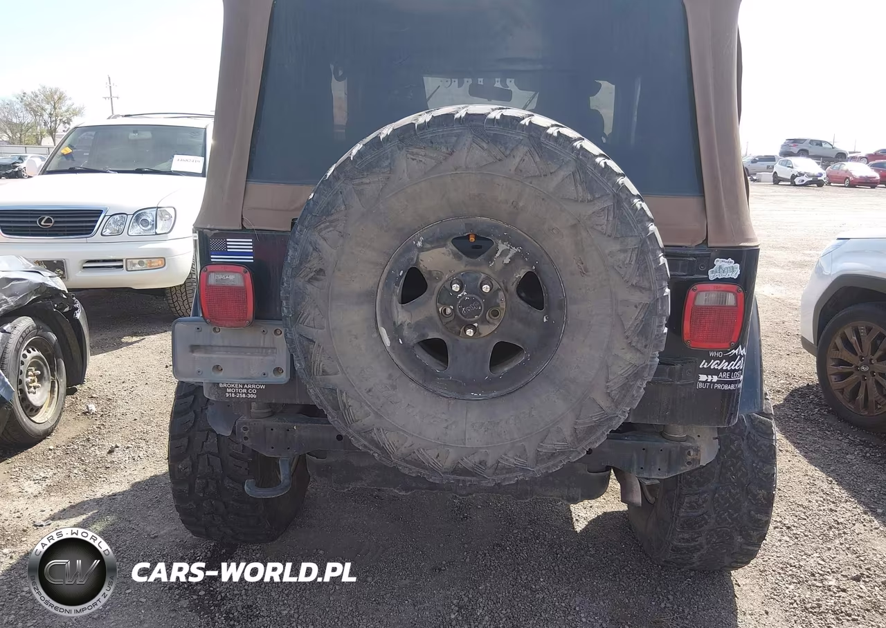 2004 Jeep Wrangler Sahara VIN:1J4FA59S04P703873 - 16