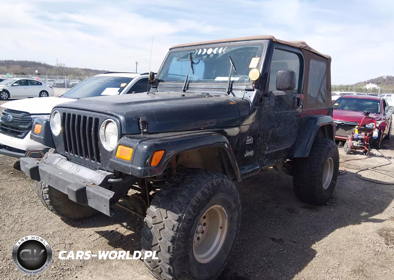 2004 Jeep Wrangler Sahara VIN:1J4FA59S04P703873 - 2