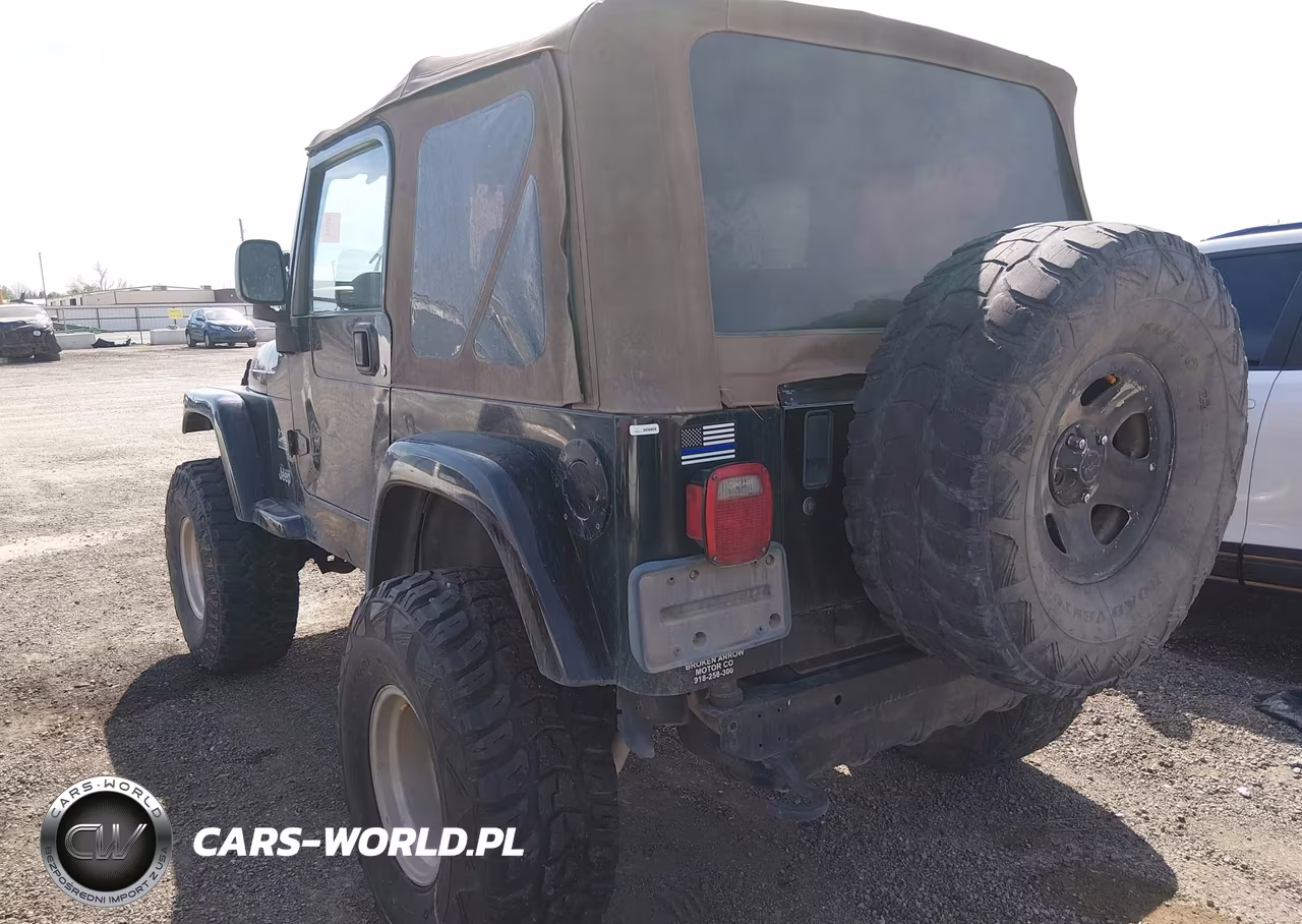 2004 Jeep Wrangler Sahara VIN:1J4FA59S04P703873 - 3