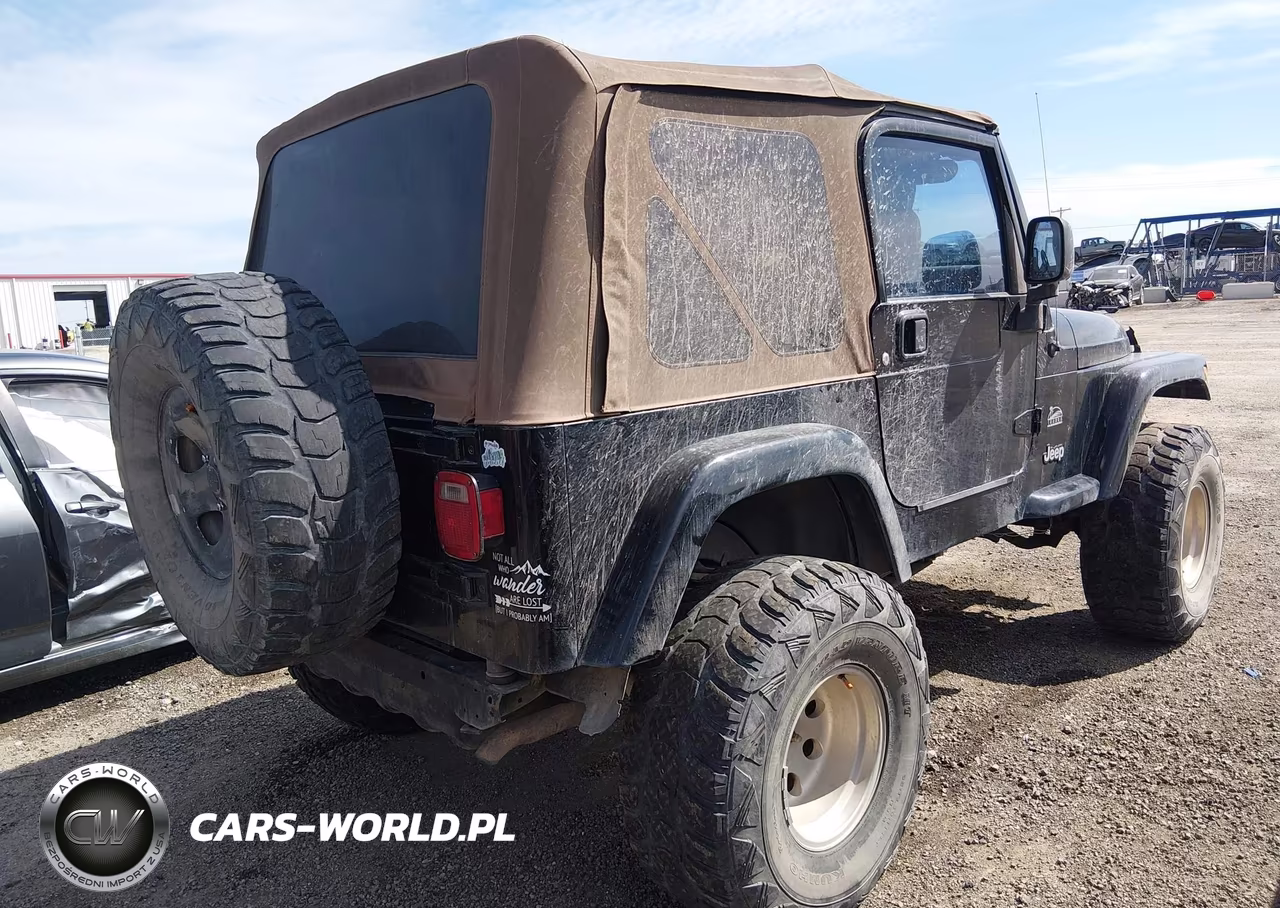 2004 Jeep Wrangler Sahara VIN:1J4FA59S04P703873 - 4