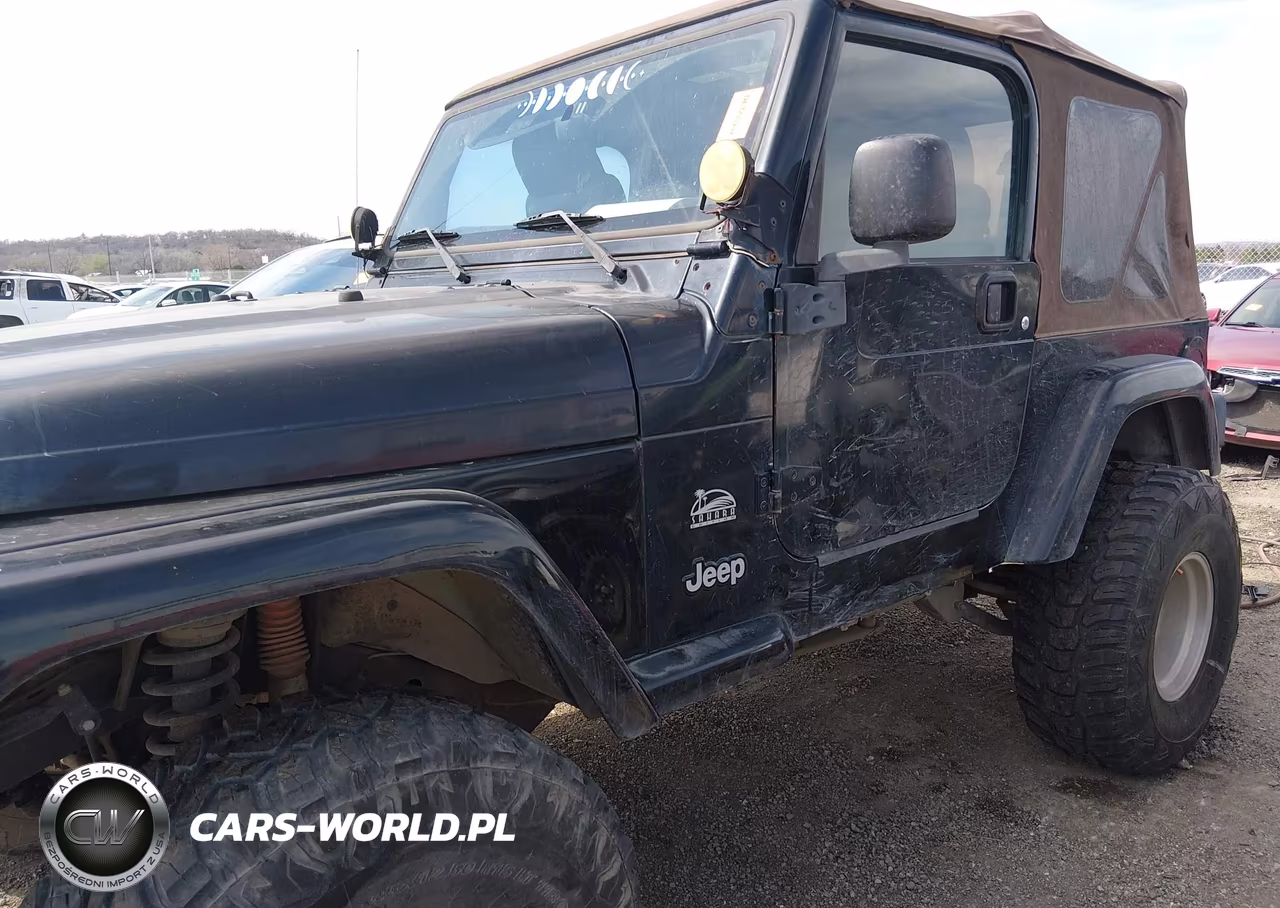2004 Jeep Wrangler Sahara VIN:1J4FA59S04P703873 - 6