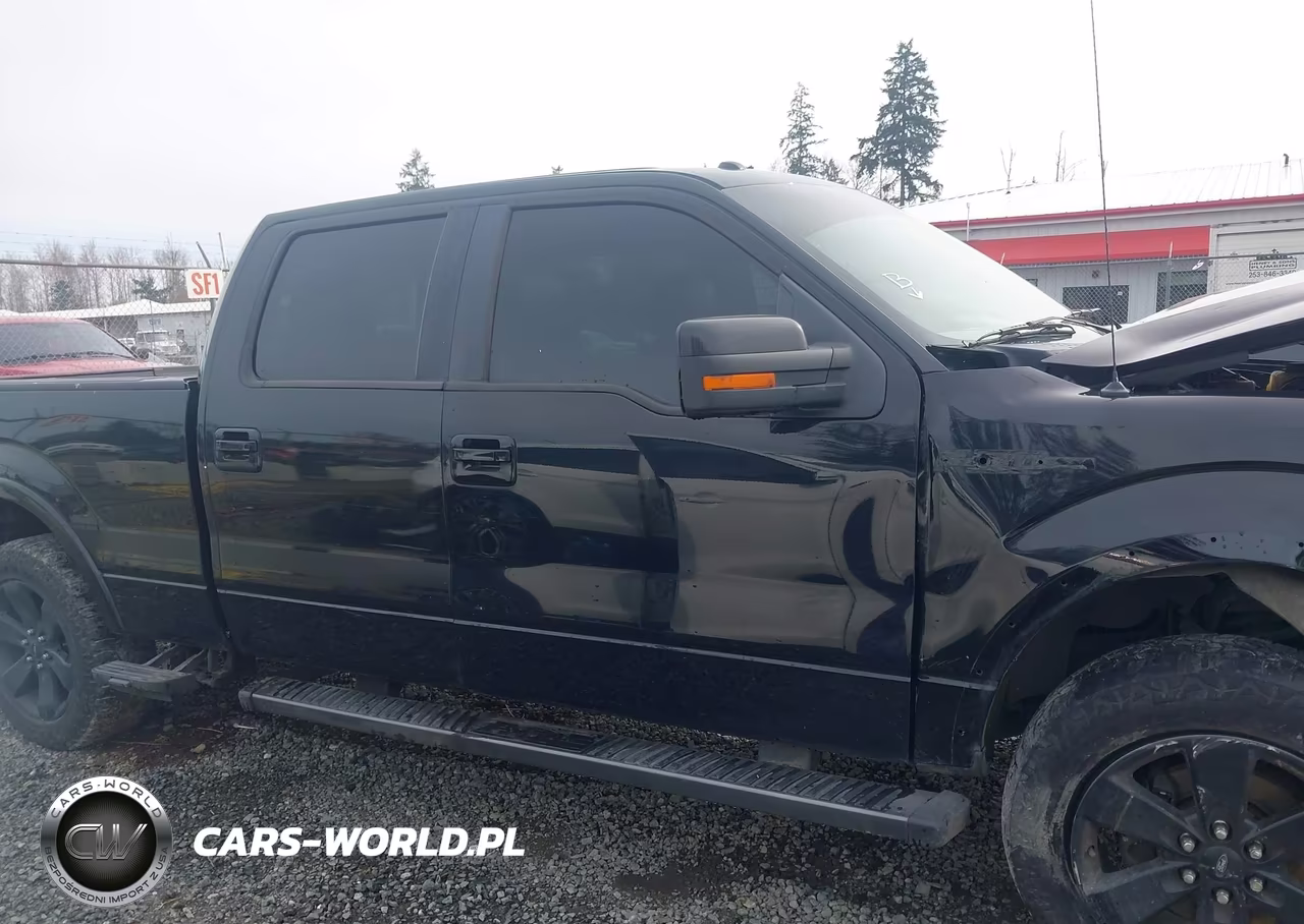 2013 Ford F-150 Fx4 VIN:1FTFW1ET6DFC01471 - 13