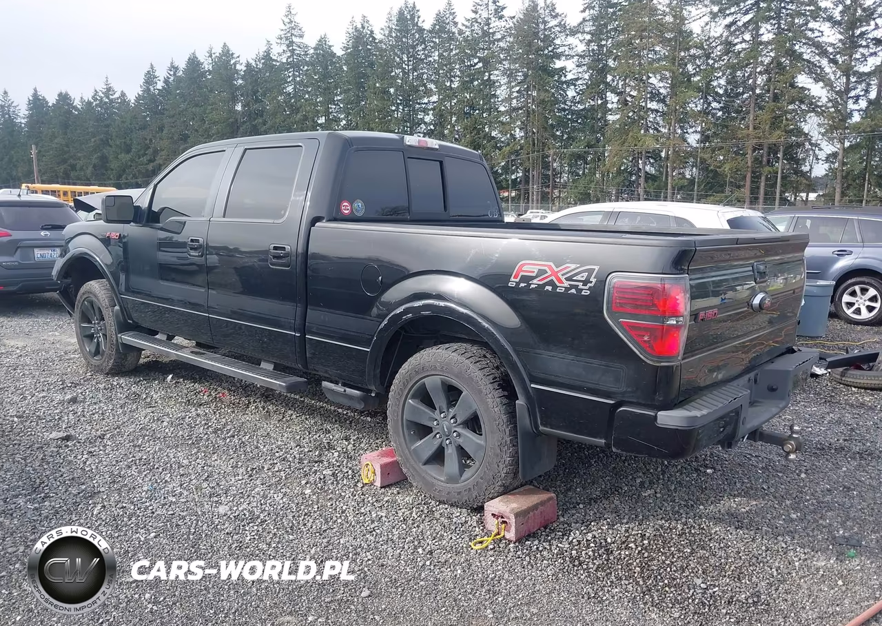 2013 Ford F-150 Fx4 VIN:1FTFW1ET6DFC01471 - 3
