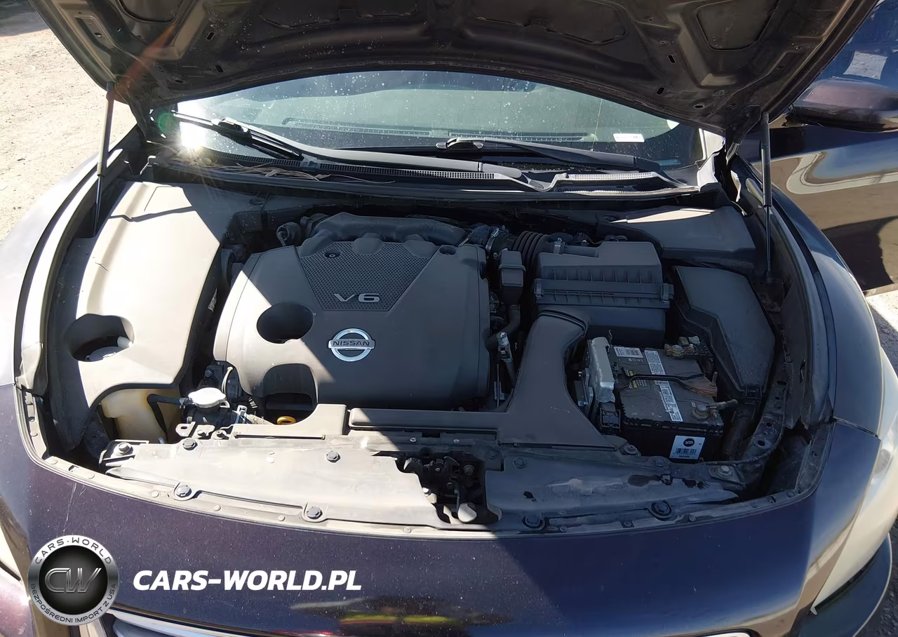 2014 Nissan Maxima 3.5 S VIN:1N4AA5AP6EC468319 - 10