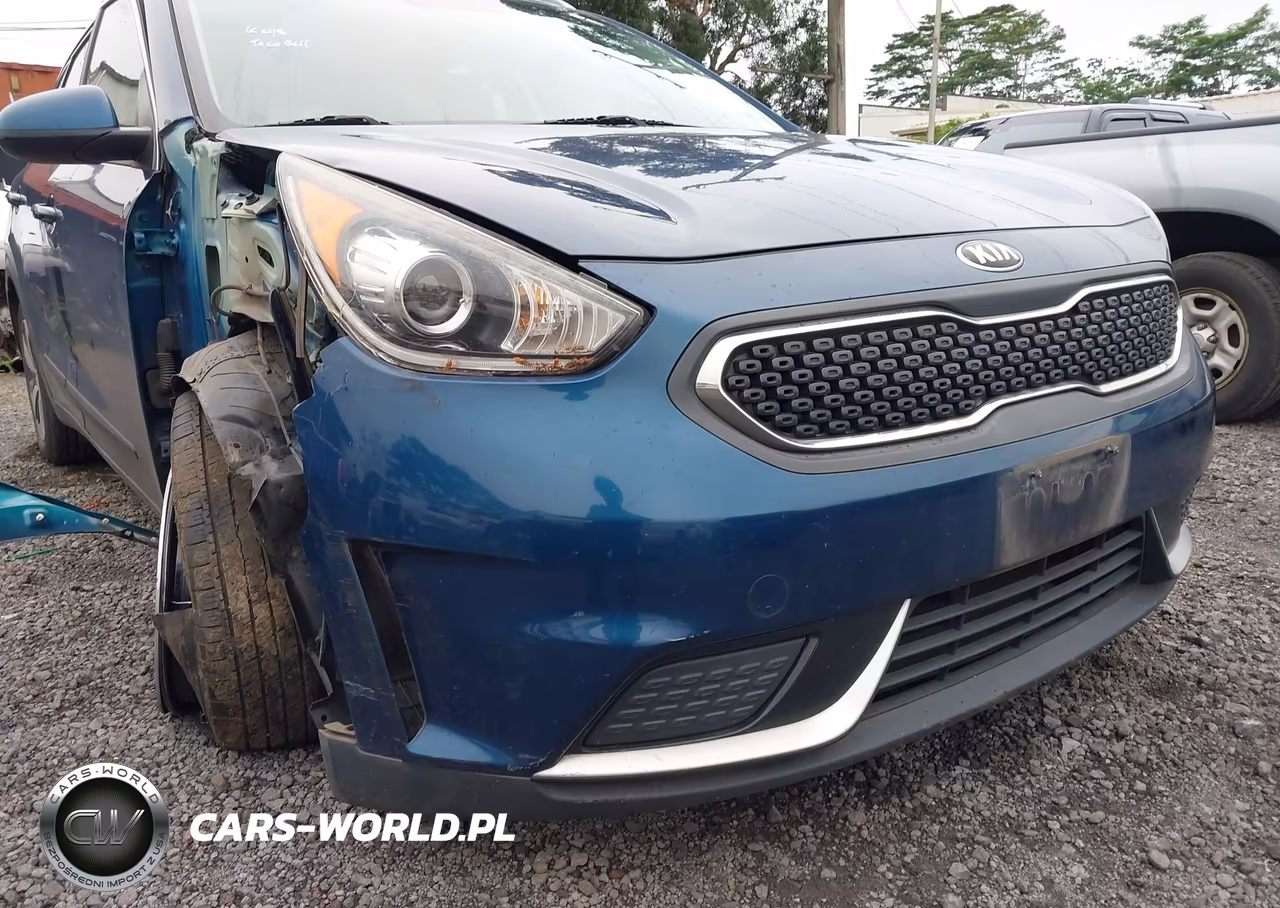 2017 Kia Niro Lx VIN:KNDCB3LC1H5045980 - 12