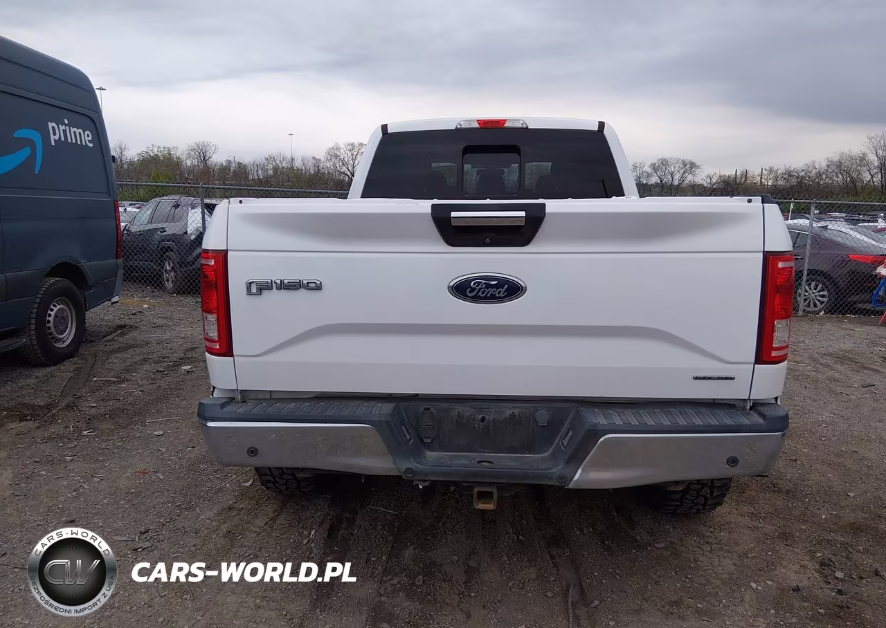 2015 Ford F-150 Xlt VIN:1FTFW1EF5FKE22189 - 16