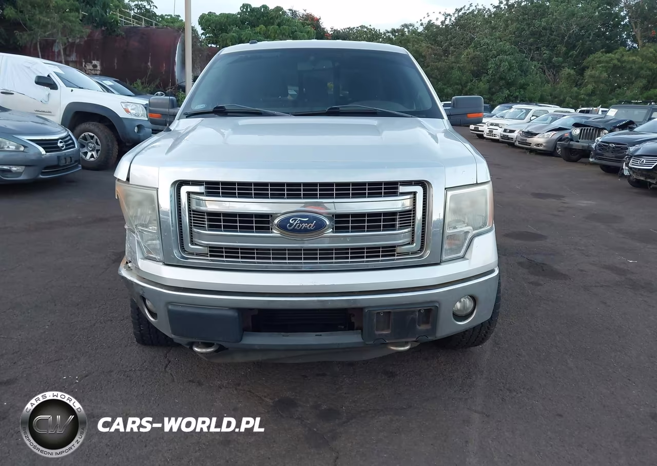 2013 Ford F-150 Xlt VIN:1FTFW1ET4DKF72961 - 12