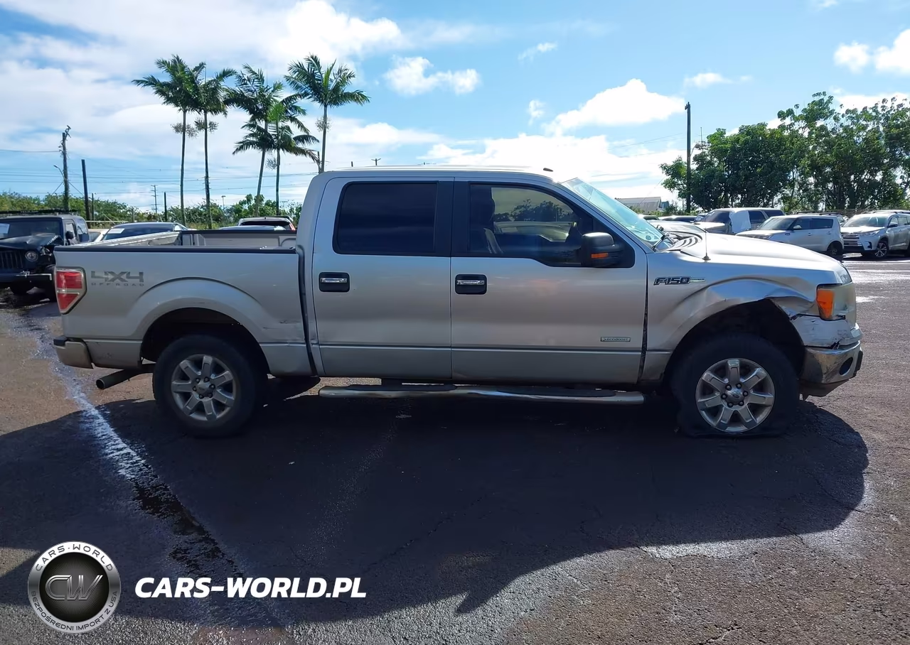 2013 Ford F-150 Xlt VIN:1FTFW1ET4DKF72961 - 13
