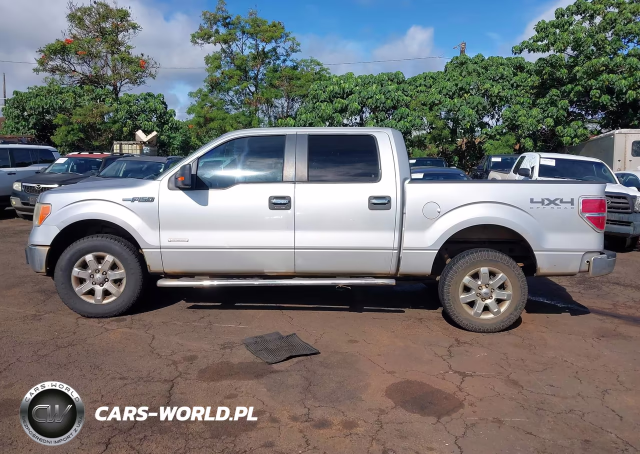 2013 Ford F-150 Xlt VIN:1FTFW1ET4DKF72961 - 14