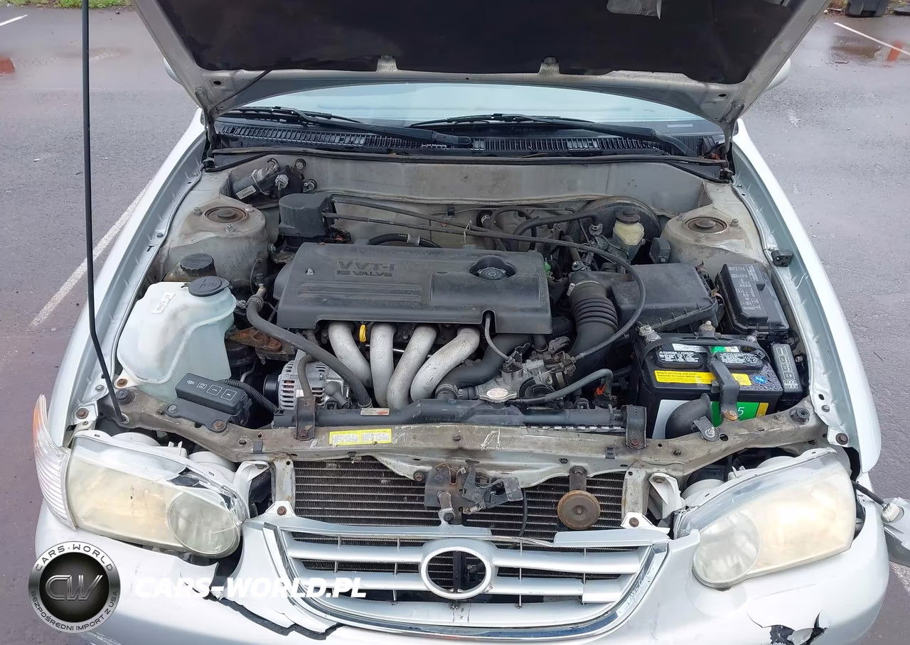 2001 Toyota Corolla Le VIN:1NXBR12E91Z500919 - 10