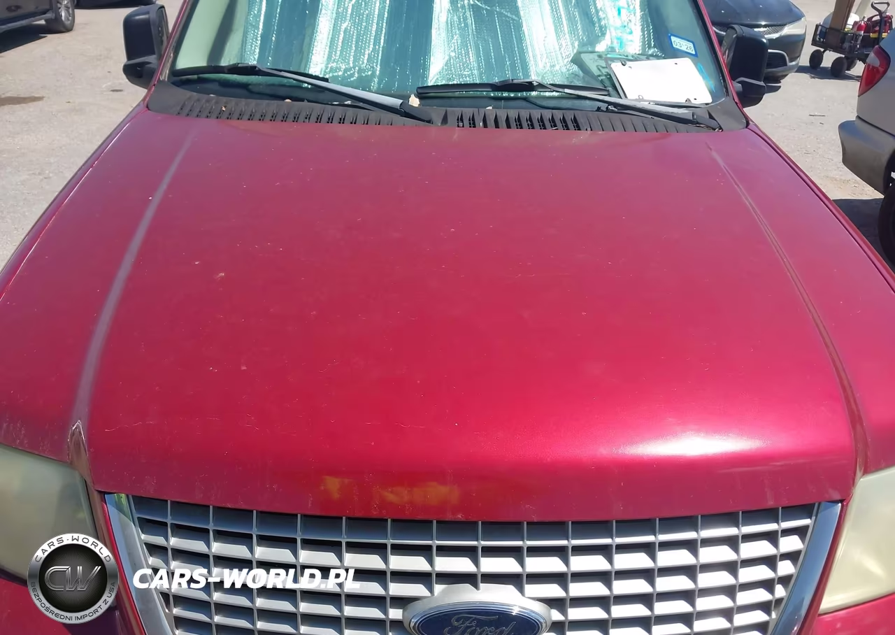 2004 Ford Expedition Eddie Bauer VIN:1FMPU17L64LA33142 - 10