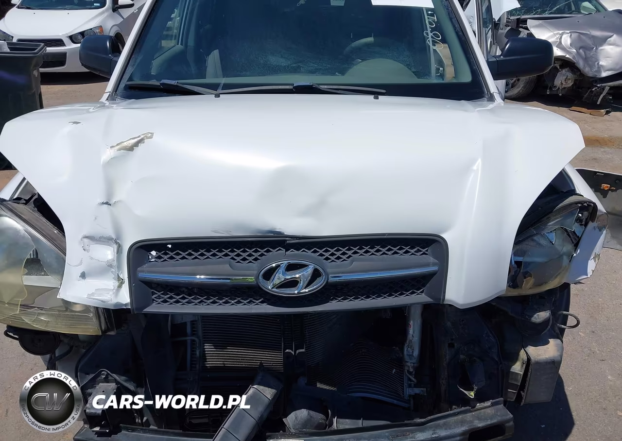 2007 Hyundai Tucson Gls VIN:KM8JM12B97U502940 - 10