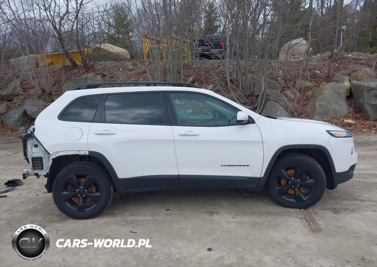 2018 Jeep Cherokee Limited 4X4 VIN:1C4PJMDB7JD603178 - 13