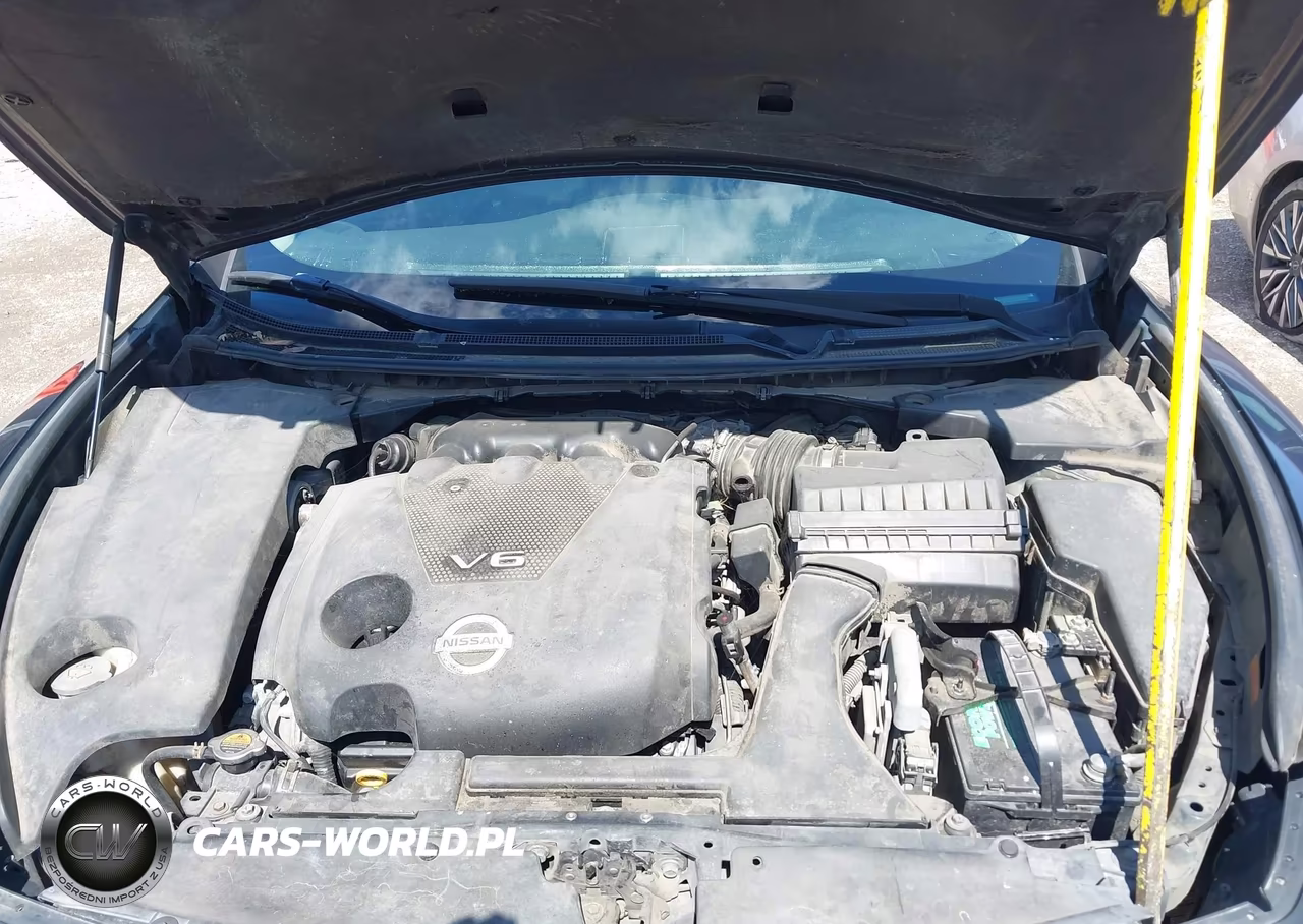2009 Nissan Maxima 3.5 Sv VIN:1N4AA51E29C848732 - 10