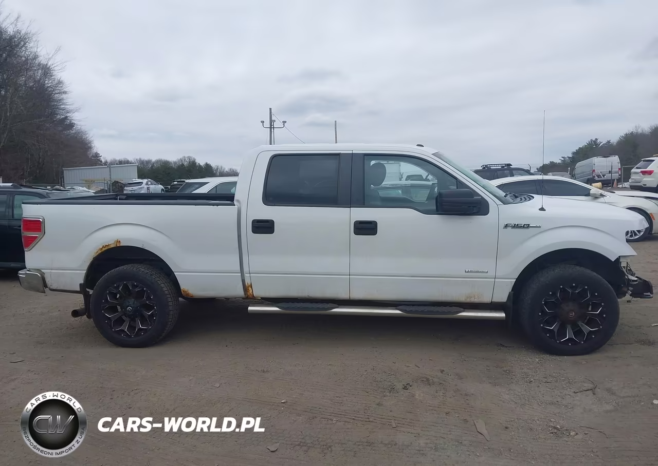 2014 Ford F-150 Xlt VIN:1FTFW1ET6EFA86758 - 12