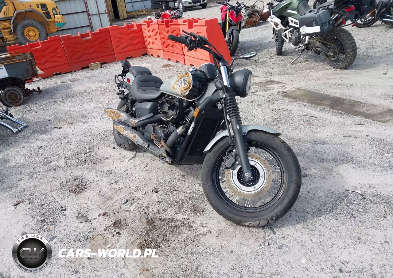 2024 Honda Vt750 C2B
