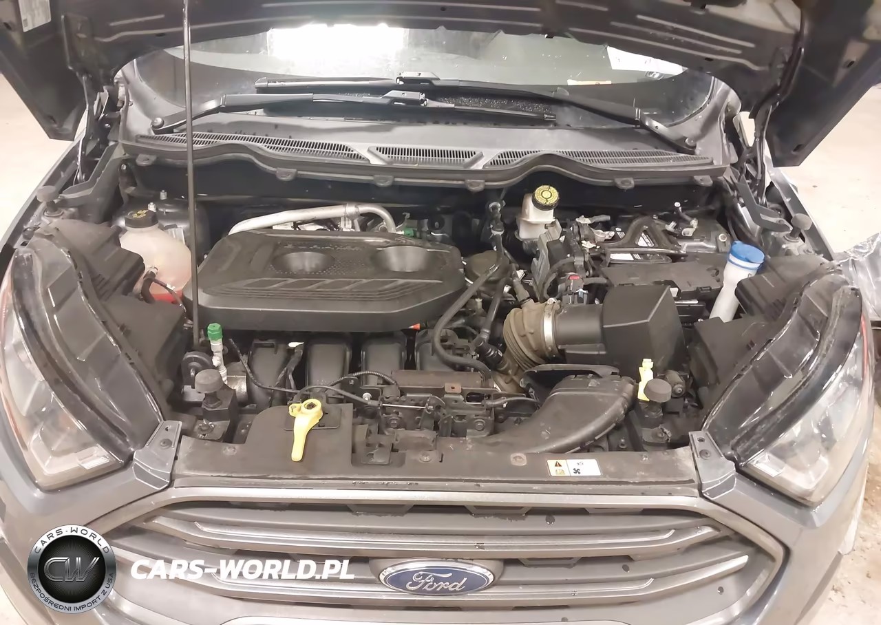 2018 Ford Ecosport Ses VIN:MAJ6P1CL4JC208941 - 10