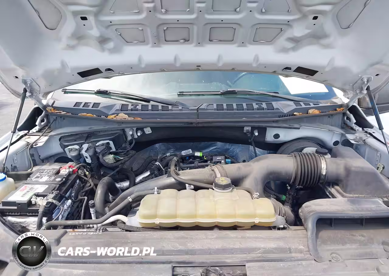 2019 Ford F-150 Xl VIN:1FTEW1CP9KFC78155 - 10