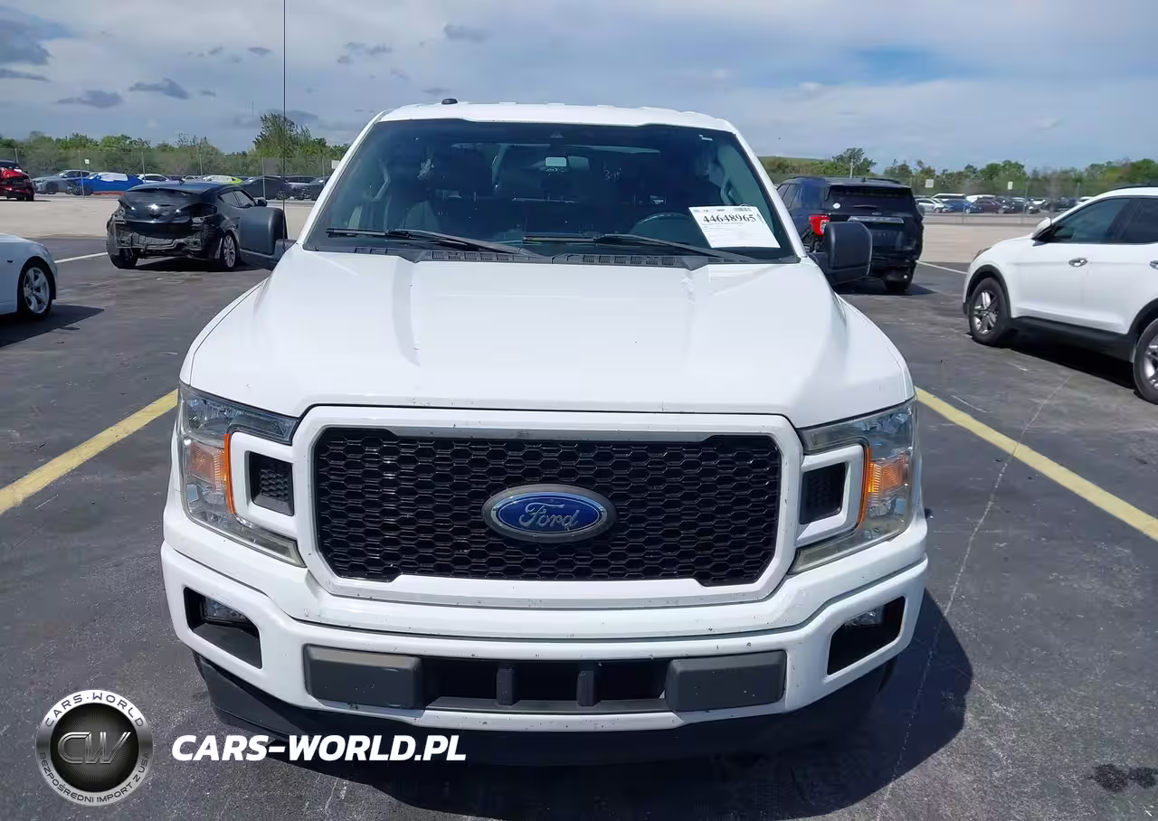 2019 Ford F-150 Xl VIN:1FTEW1CP9KFC78155 - 12