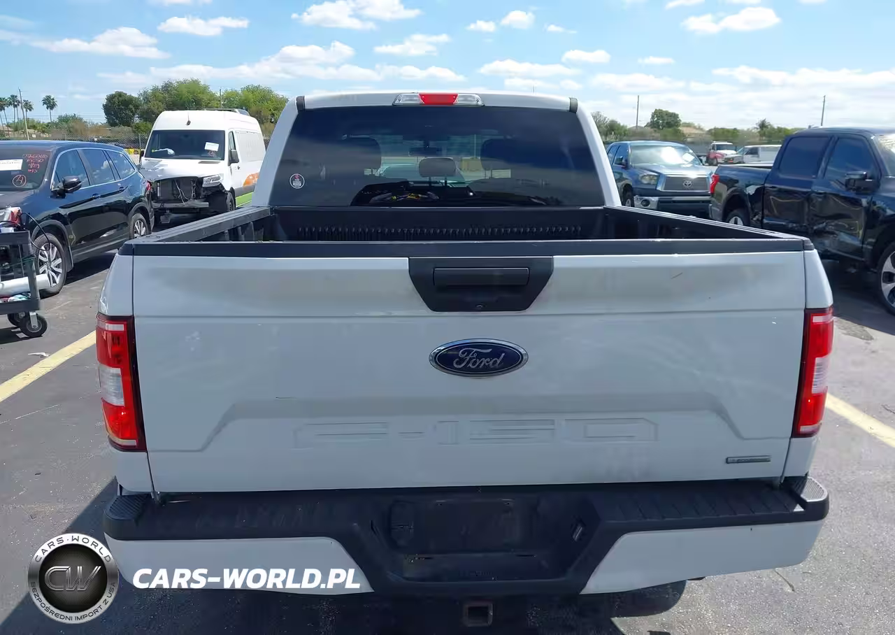 2019 Ford F-150 Xl VIN:1FTEW1CP9KFC78155 - 16