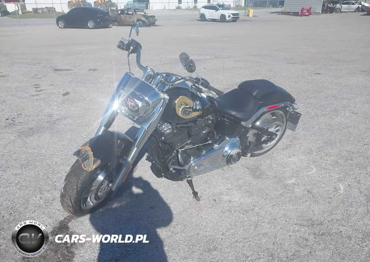 2025 Harley-Davidson Flfb