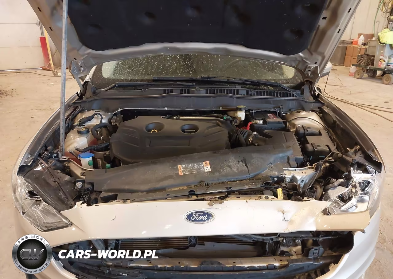 2017 Ford Fusion Se VIN:3FA6P0T95HR143916 - 10