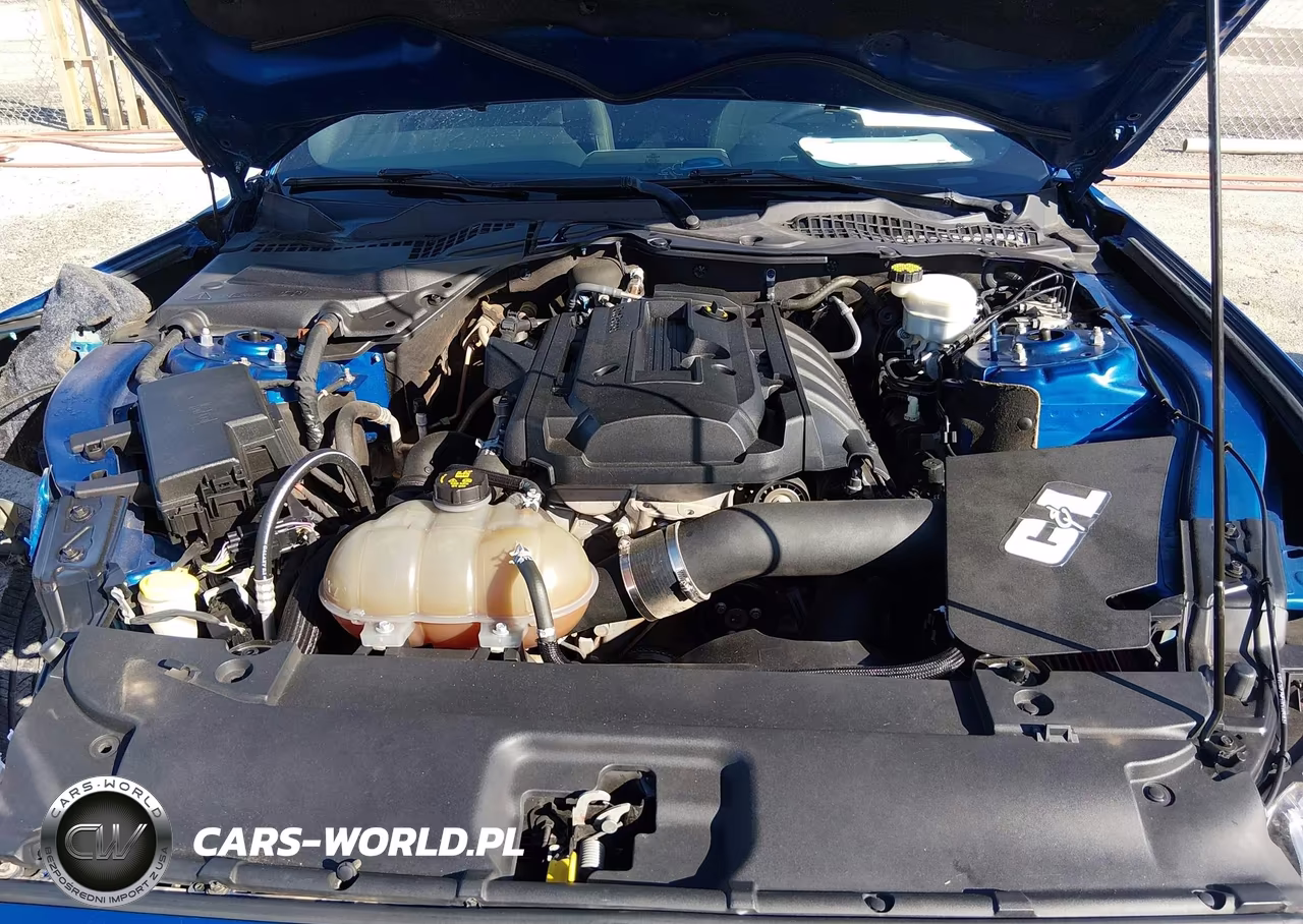 2017 Ford Mustang Ecoboost VIN:1FA6P8TH9H5291057 - 10