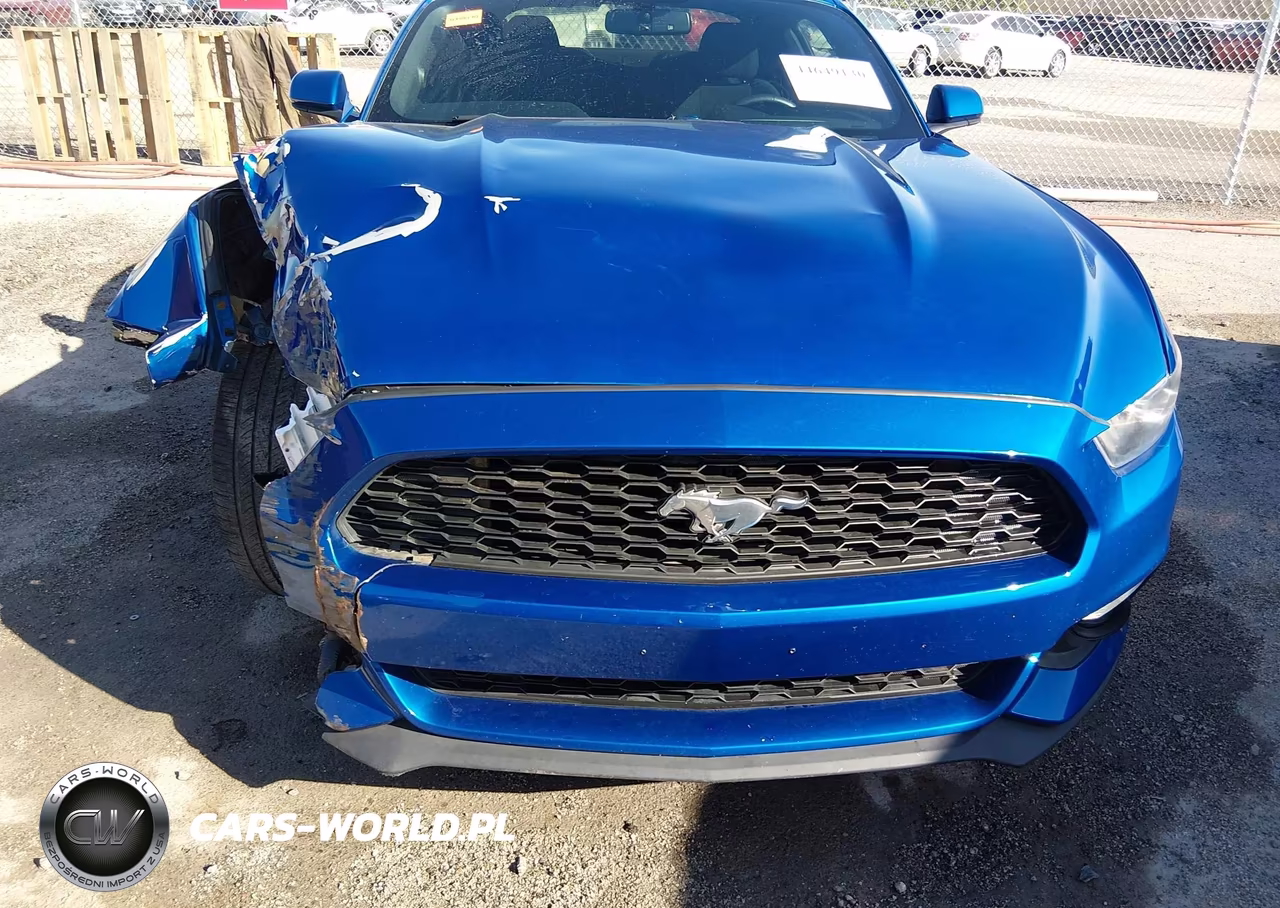2017 Ford Mustang Ecoboost VIN:1FA6P8TH9H5291057 - 12