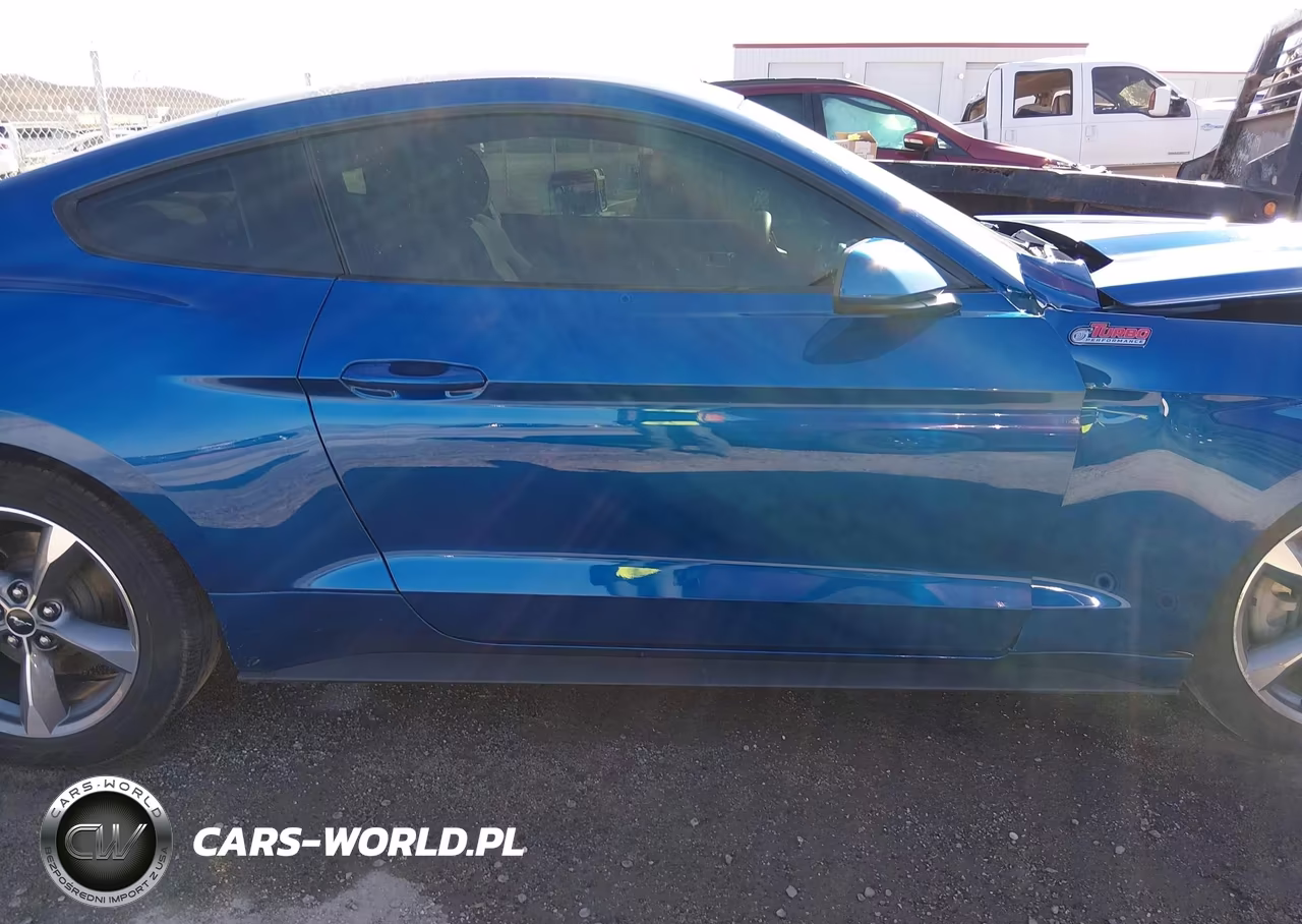 2017 Ford Mustang Ecoboost VIN:1FA6P8TH9H5291057 - 13