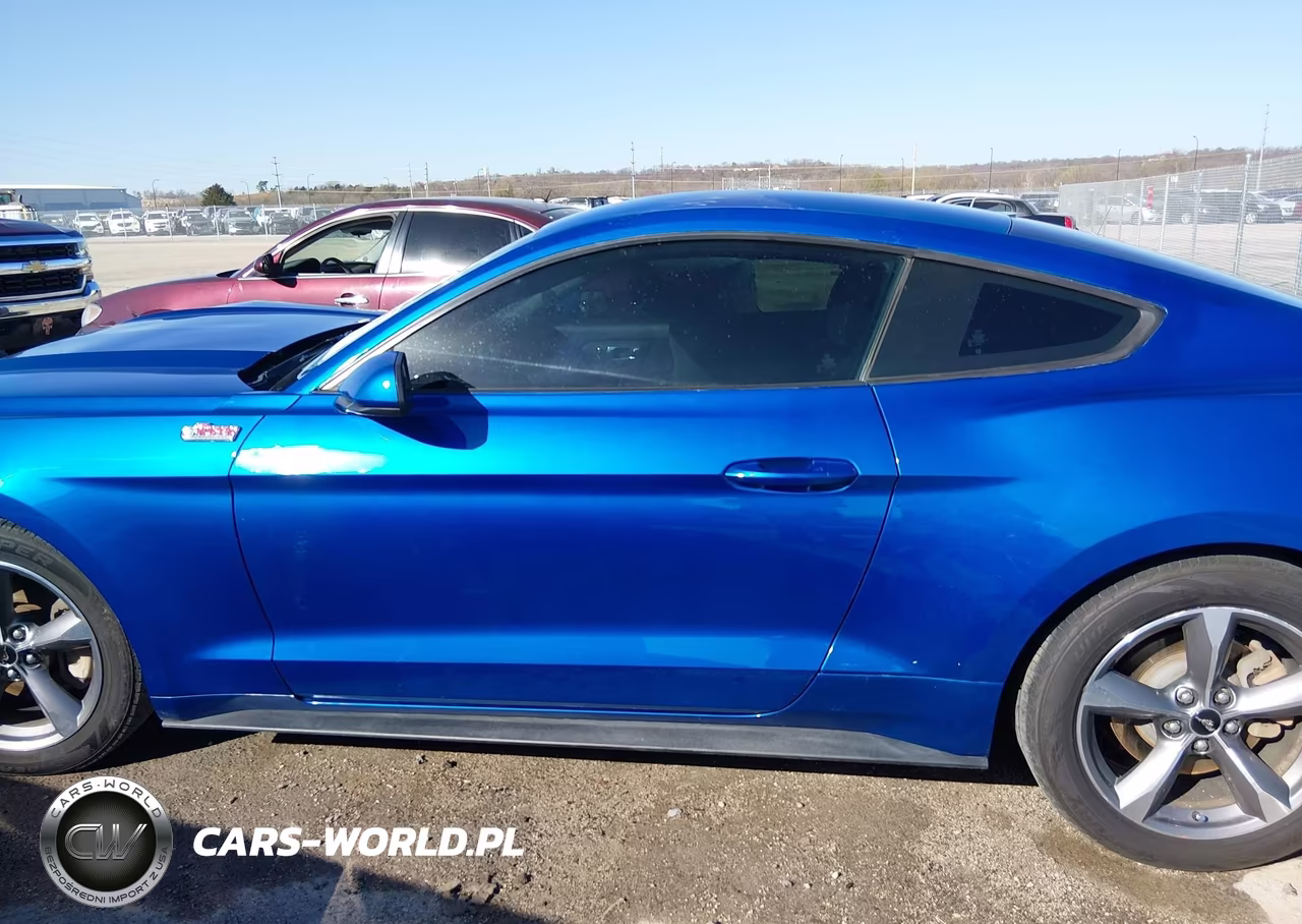 2017 Ford Mustang Ecoboost VIN:1FA6P8TH9H5291057 - 14