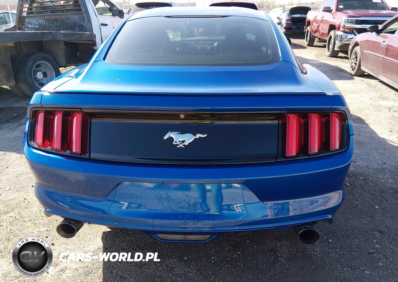 2017 Ford Mustang Ecoboost VIN:1FA6P8TH9H5291057 - 16