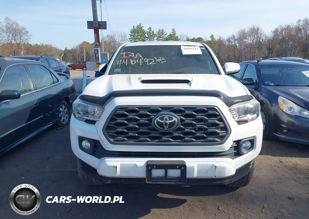 2020 Toyota Tacoma Trd Sport VIN:5TFSZ5AN4LX216063 - 12