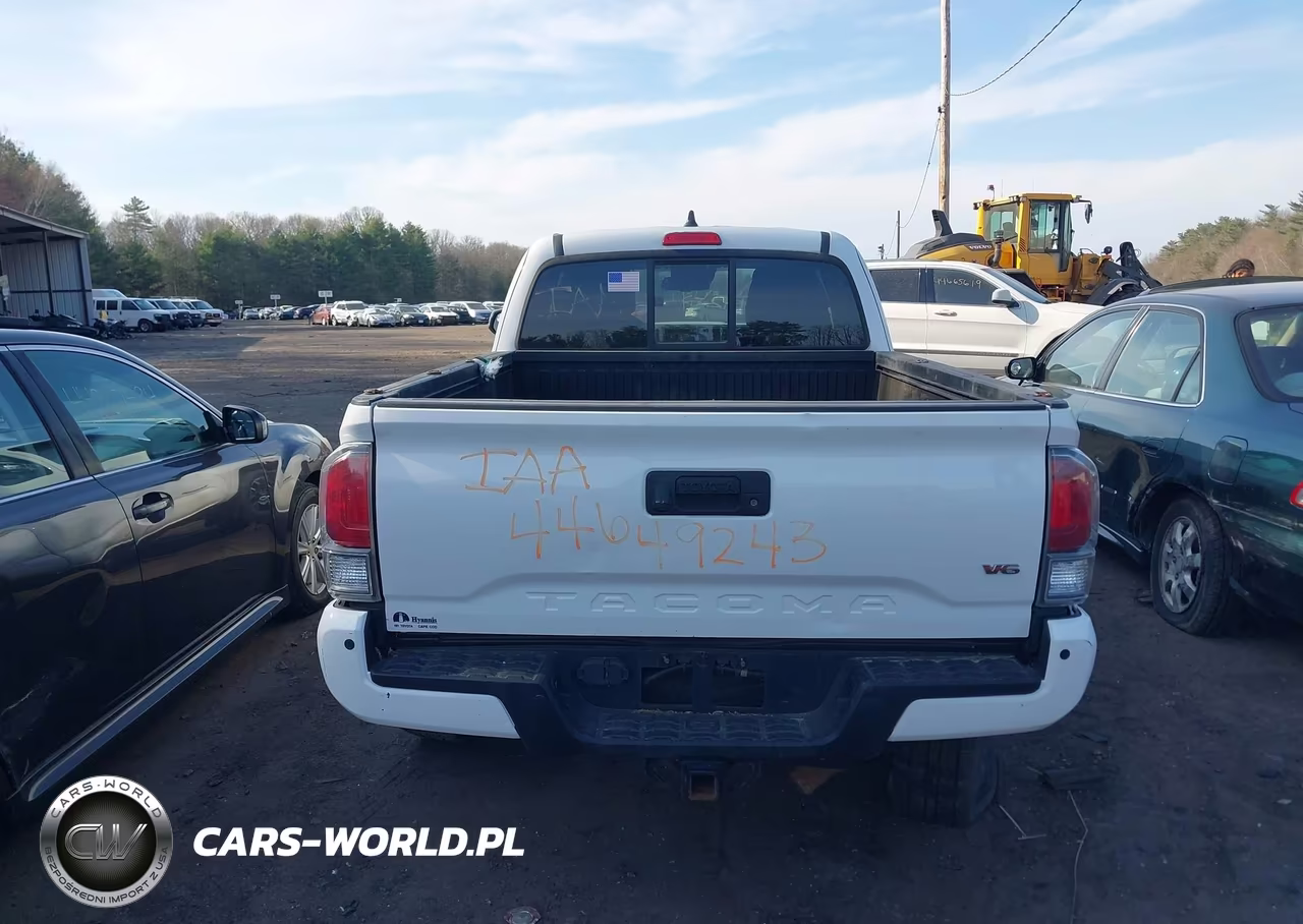2020 Toyota Tacoma Trd Sport VIN:5TFSZ5AN4LX216063 - 16