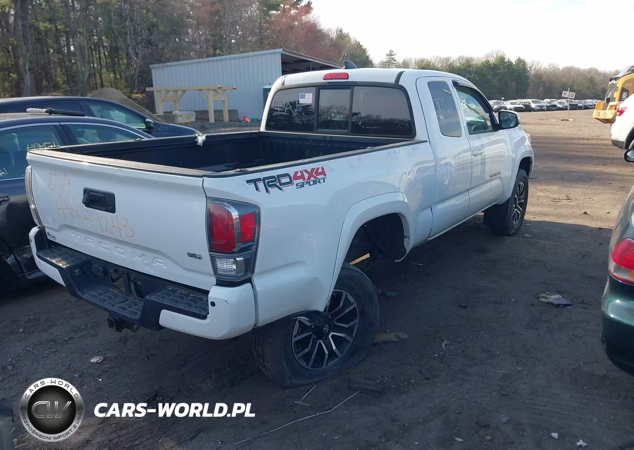 2020 Toyota Tacoma Trd Sport VIN:5TFSZ5AN4LX216063 - 4