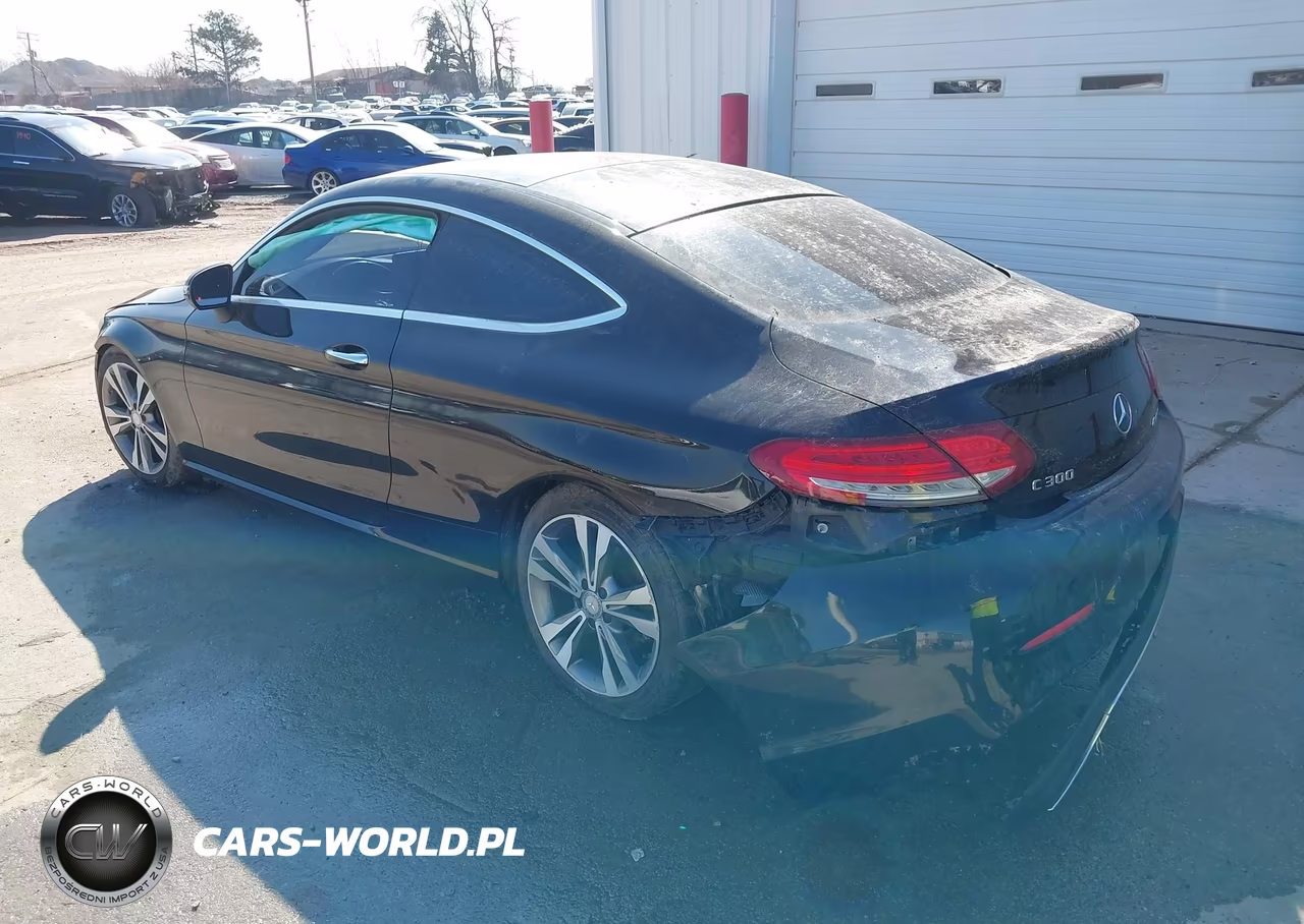 2017 Mercedes-Benz C 300 4Matic VIN:WDDWJ4KB6HF412869 - 3