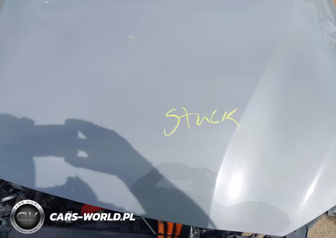 2019 Hyundai Kona Ev Ultimate VIN:KM8K53AG6KU054420 - 10