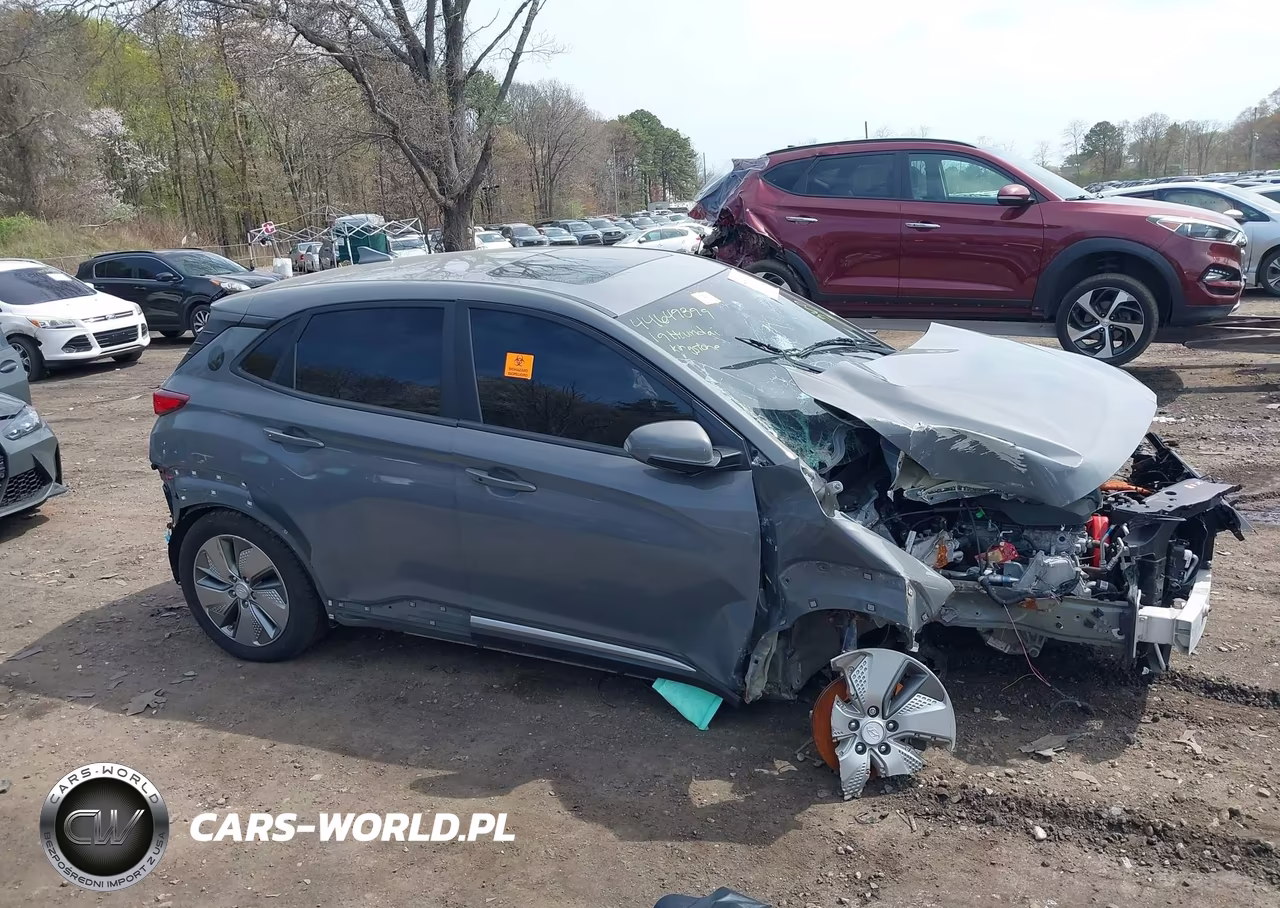 2019 Hyundai Kona Ev Ultimate VIN:KM8K53AG6KU054420 - 12