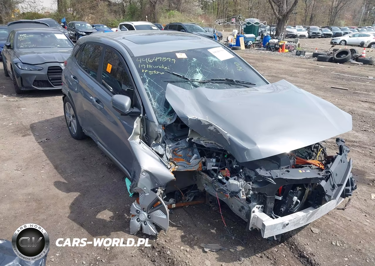 2019 Hyundai Kona Ev Ultimate VIN:KM8K53AG6KU054420 - 6